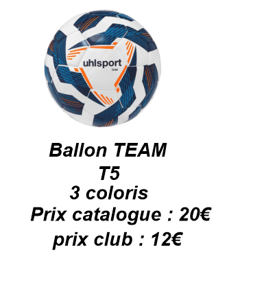 Ballon TEAM T5 bleu-blanc